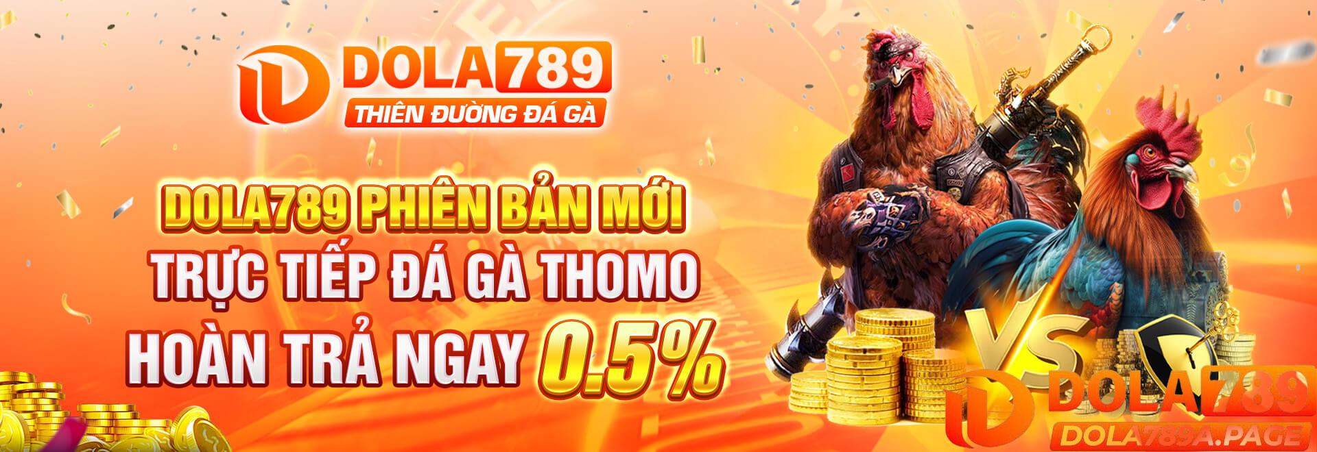 Banner Dola789 (1)