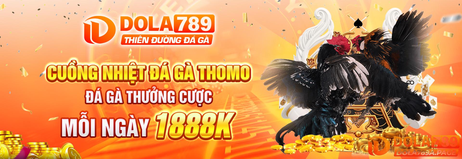 Đá gà thưởng cược 1888K