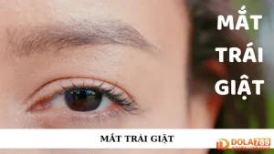 Mắt trái giật